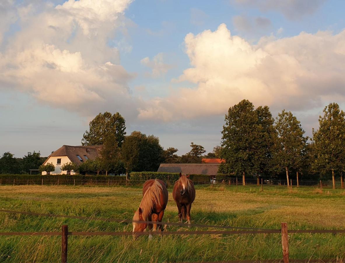 B&B De Scherpenhof Leur 외부 사진