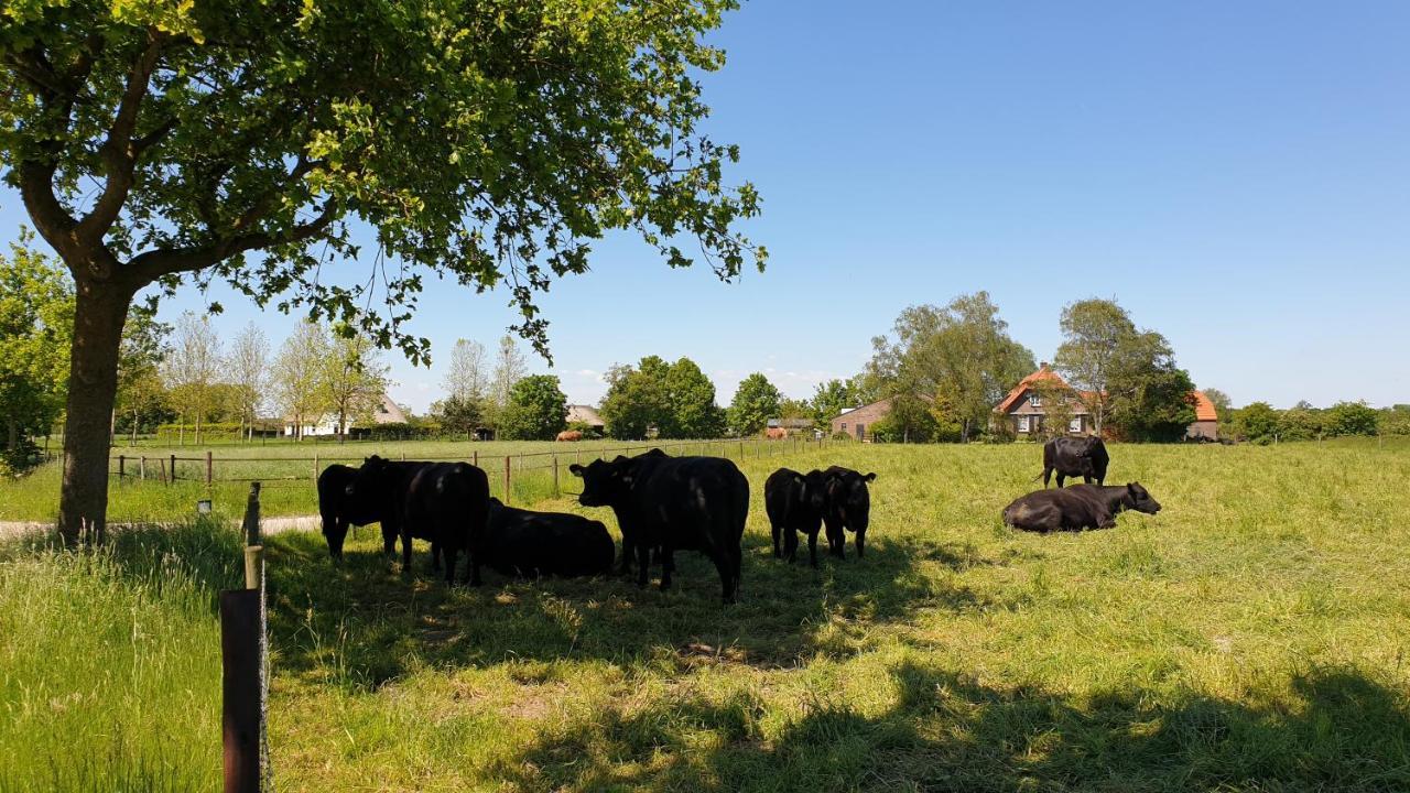 B&B De Scherpenhof Leur 외부 사진